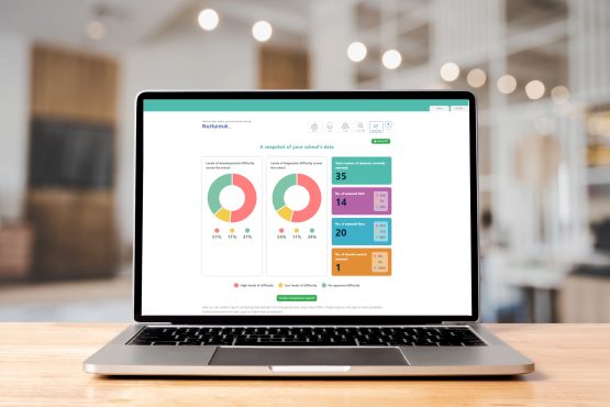 Boxall Profile Online Data Dashboard on Laptop